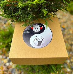 MysteryBOX by "Air Štummer"